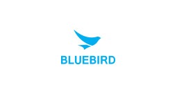 embedded training placement institute in Bangalore - placement company - Bluebird