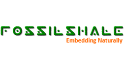 Embedded System Placement Institute. Placement Company - Fossilshale Technologies