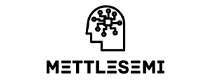 Mettlesemi Systems and Technologies
